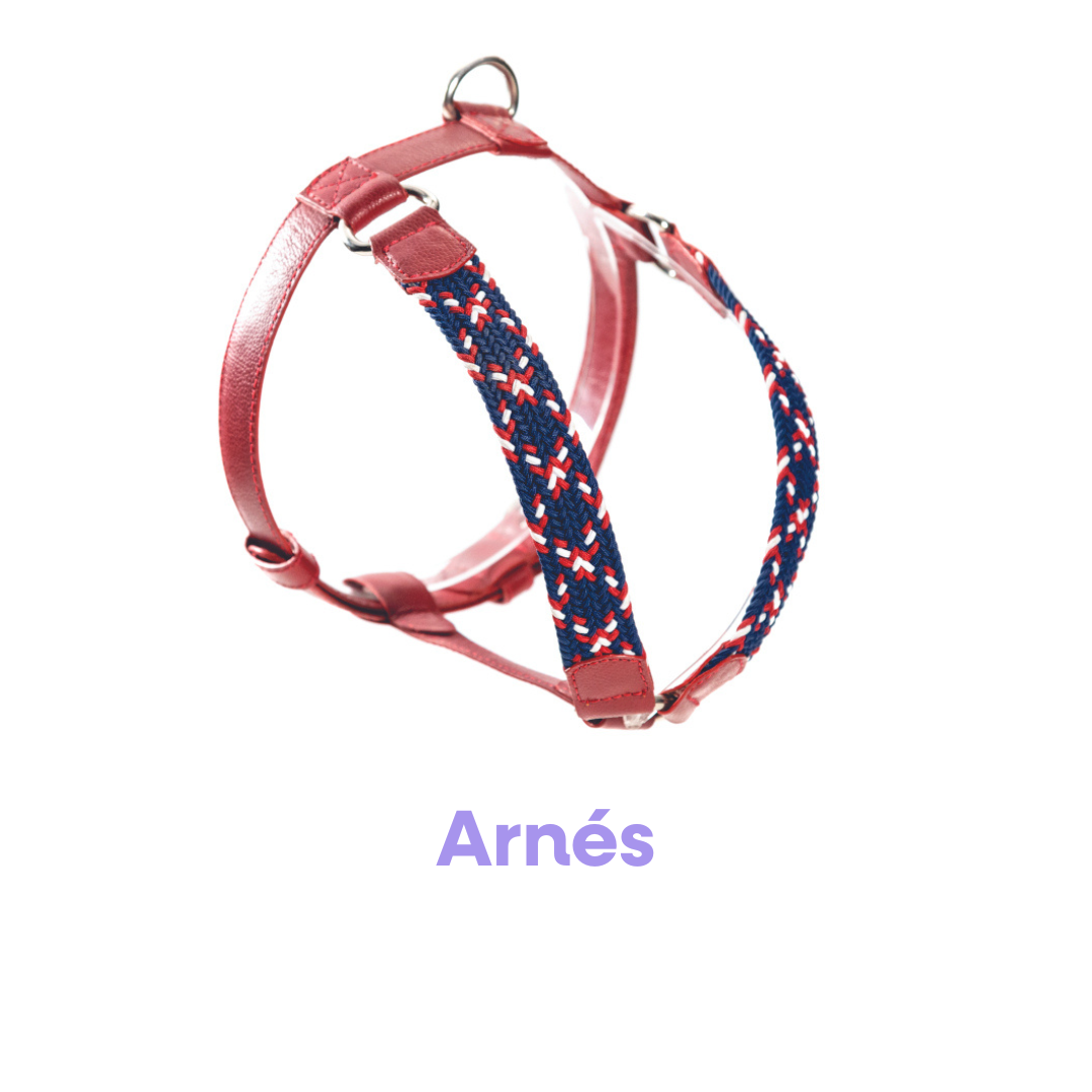 Arnés