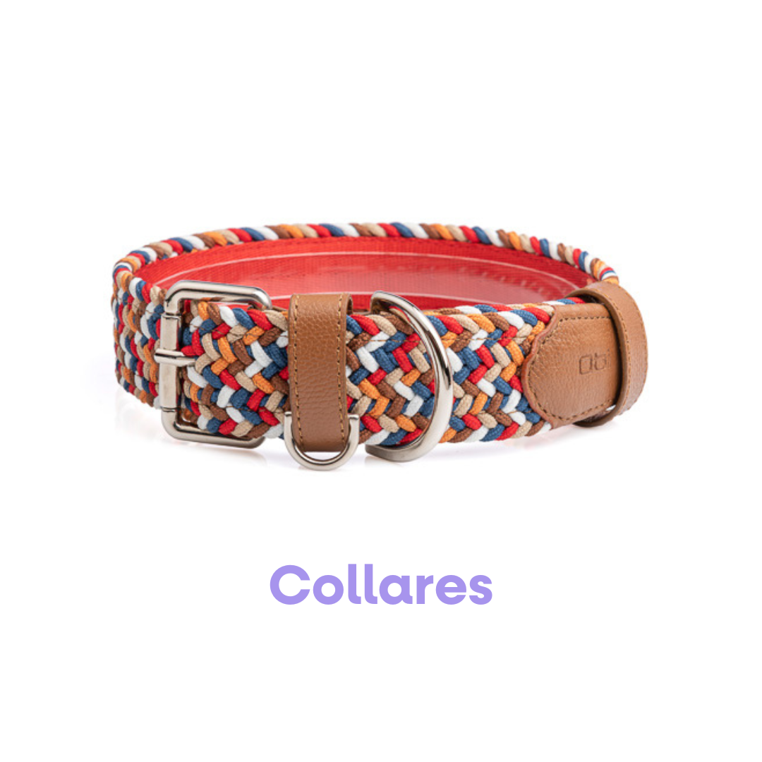 Collares Trenzados