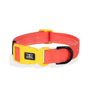 Collar impermeable para perro - CORAL