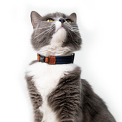 Collar para Gato antiahogo trenzado - Katt Navy