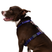 Pechera para perros - PAW Sparkie