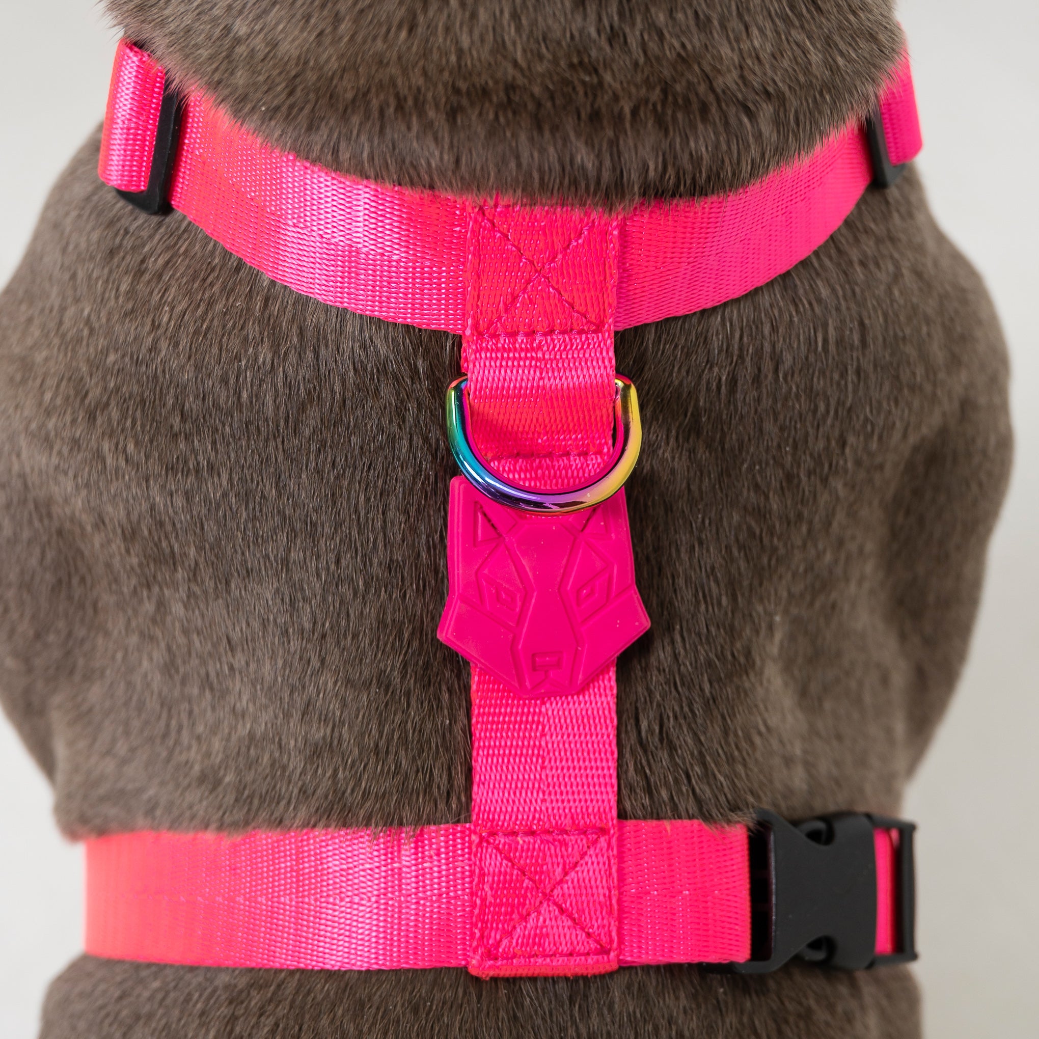 ARNÉS PARA PERRO SAZZU NEON FUCHSIA