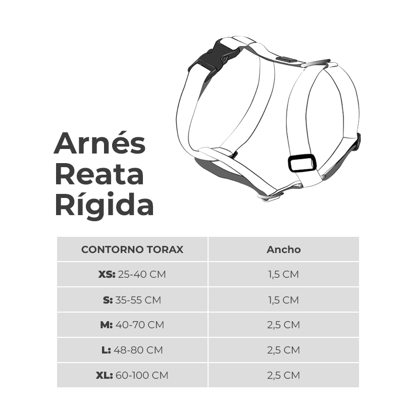 COMBO USA ARNÉS + CORREA