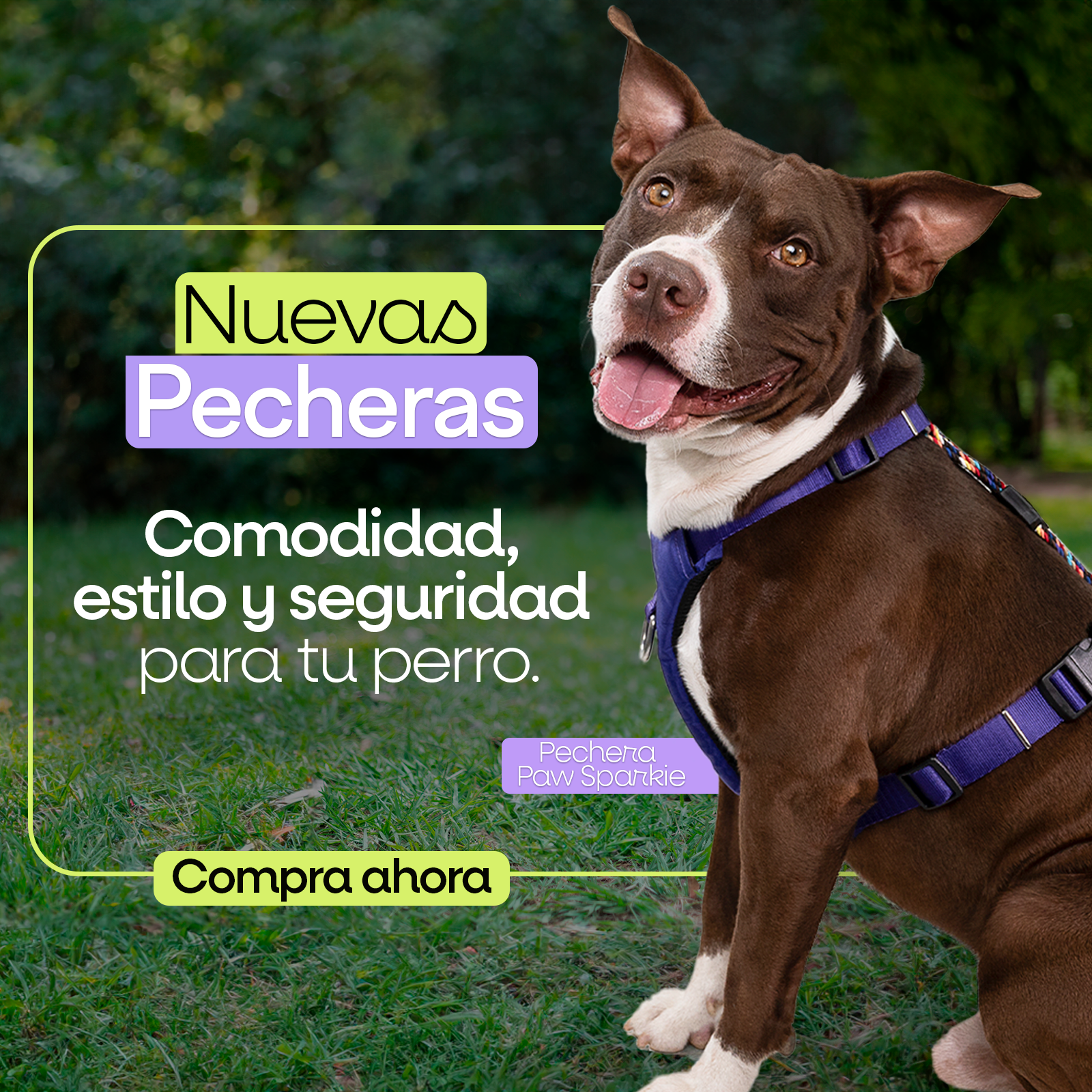 Banner_Pecheras_Cel.png