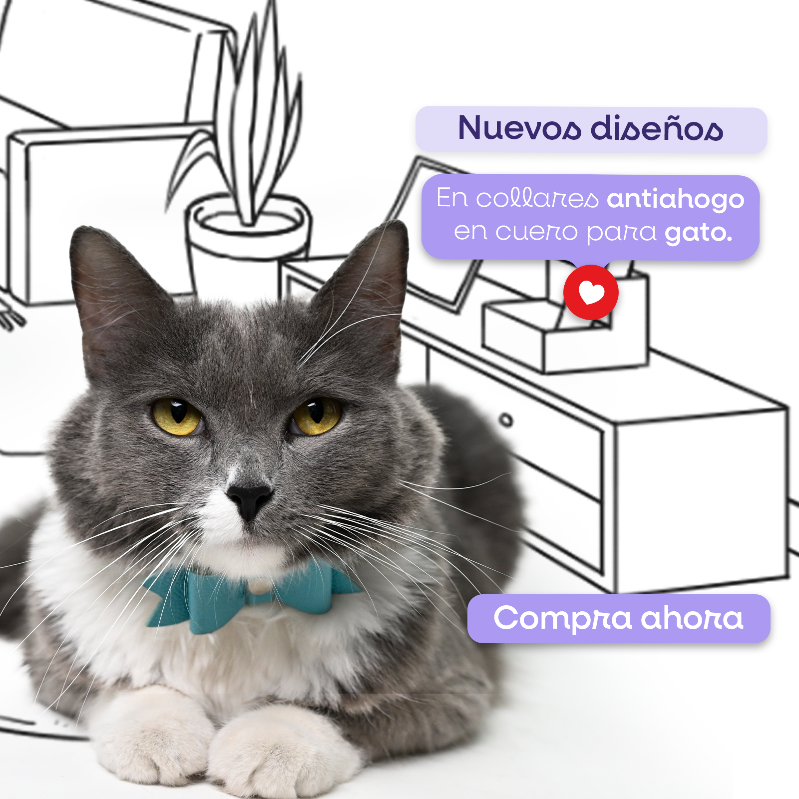 Banner_collar_en_cuero_gato_Cel.png