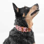 COLLAR PARA PERRO TRENZADO - CLOE GRANATE