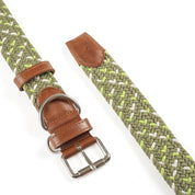 COLLAR PARA PERRO TRENZADO - CLOE OLIVE