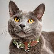 Collar para Gato antiahogo trenzado - Katt Olive