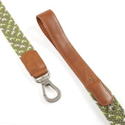 COMBO COLLAR + CORREA TRENZADO PARA PERRO-OLIVE