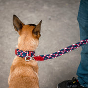 Complete Your Braided Kit