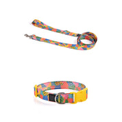 COLLAR Y CORREA PARA PERRO ESTAMPADO - FRUTTI