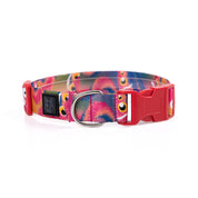 COLLAR Y CORREA PARA PERRO ESTAMPADO - MONSTER FIRE