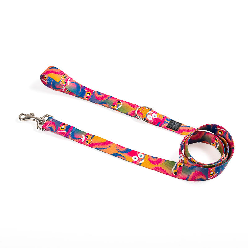 COLLAR Y CORREA PARA PERRO ESTAMPADO - MONSTER FIRE