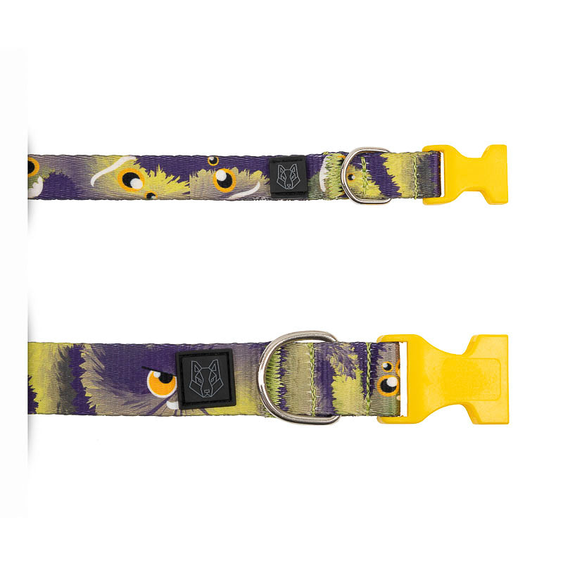 COLLAR Y CORREA PARA PERRO ESTAMPADO - MONSTER GRINCH