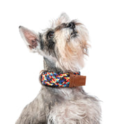 COLLAR PARA PERRO TRENZADO - CLOE SPARKIE