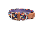 COMBO COLLAR + CORREA TRENZADO PARA PERRO-SPARKIE