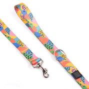 COLLAR Y CORREA PARA PERRO ESTAMPADO - FRUTTI