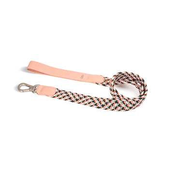 COMBO COLLAR + CORREA TRENZADO PARA PERRO-PASTEL