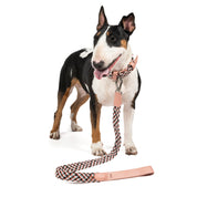 COMBO COLLAR + CORREA TRENZADO PARA PERRO-PASTEL